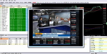 現貨交易軟件首選GTS軟件，公司主推產品優惠多多，欲購從速